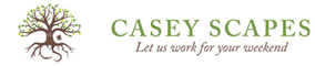 Casey Scapes